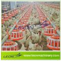 Leon Automatic Chicken Feeding poultry equipment with CE